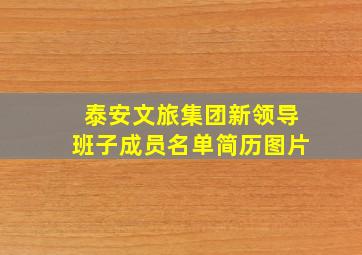 泰安文旅集团新领导班子成员名单简历图片