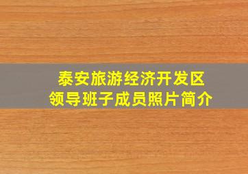 泰安旅游经济开发区领导班子成员照片简介