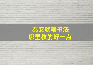 泰安软笔书法哪里教的好一点