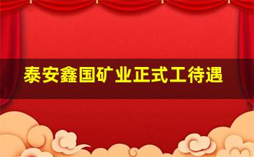 泰安鑫国矿业正式工待遇