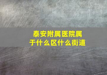 泰安附属医院属于什么区什么街道