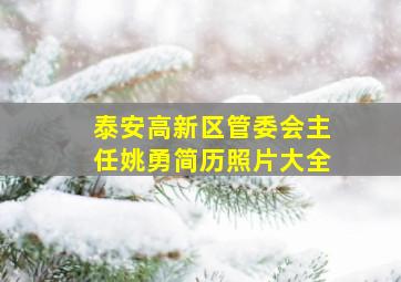 泰安高新区管委会主任姚勇简历照片大全