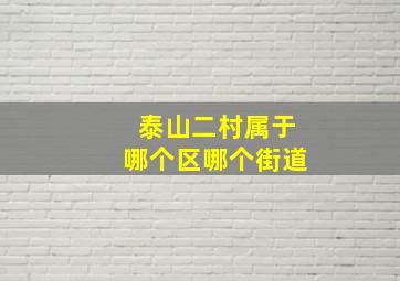 泰山二村属于哪个区哪个街道