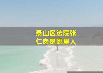 泰山区法院张仁岗是哪里人