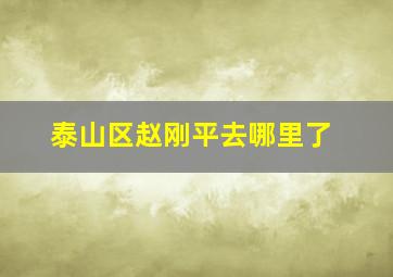 泰山区赵刚平去哪里了