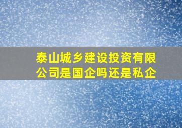 泰山城乡建设投资有限公司是国企吗还是私企