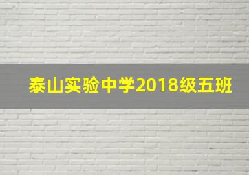 泰山实验中学2018级五班