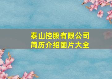 泰山控股有限公司简历介绍图片大全