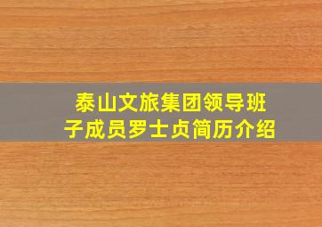 泰山文旅集团领导班子成员罗士贞简历介绍