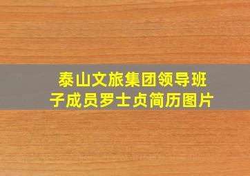 泰山文旅集团领导班子成员罗士贞简历图片