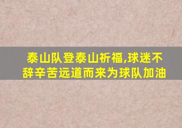 泰山队登泰山祈福,球迷不辞辛苦远道而来为球队加油