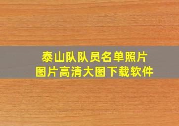 泰山队队员名单照片图片高清大图下载软件