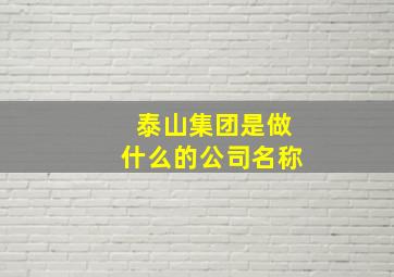 泰山集团是做什么的公司名称