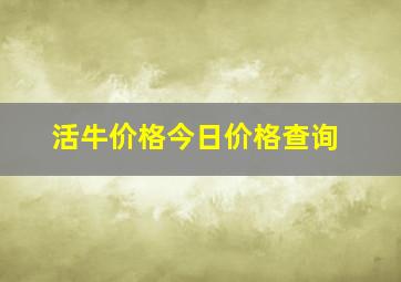 活牛价格今日价格查询