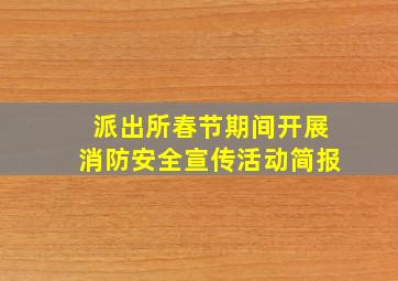 派出所春节期间开展消防安全宣传活动简报