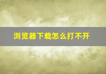 浏览器下载怎么打不开