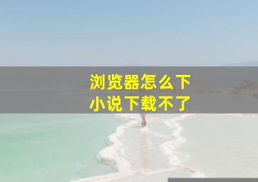 浏览器怎么下小说下载不了