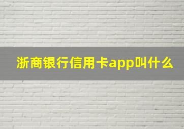 浙商银行信用卡app叫什么