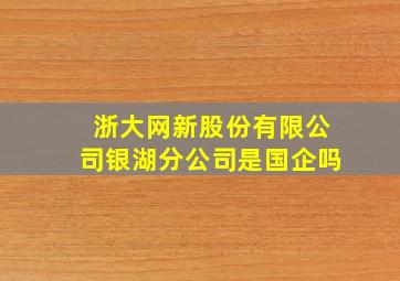 浙大网新股份有限公司银湖分公司是国企吗