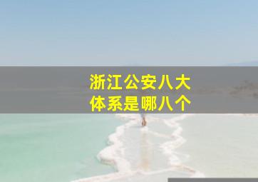 浙江公安八大体系是哪八个