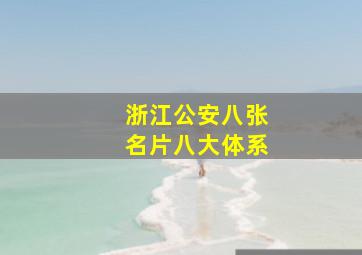 浙江公安八张名片八大体系