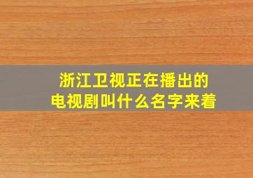 浙江卫视正在播出的电视剧叫什么名字来着