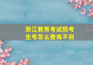 浙江教育考试院考生号怎么查询不到