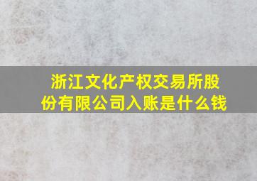 浙江文化产权交易所股份有限公司入账是什么钱