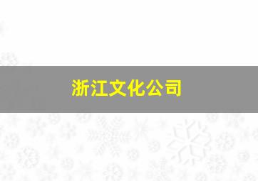 浙江文化公司