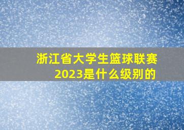 浙江省大学生篮球联赛2023是什么级别的