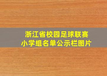 浙江省校园足球联赛小学组名单公示栏图片