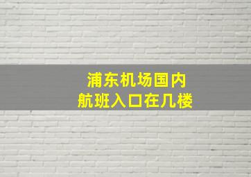 浦东机场国内航班入口在几楼