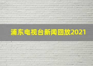 浦东电视台新闻回放2021