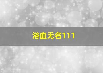 浴血无名111