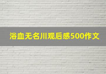 浴血无名川观后感500作文