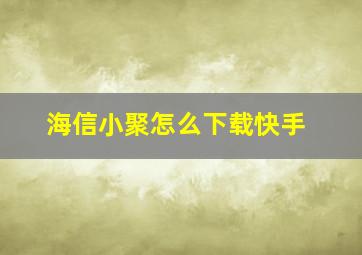 海信小聚怎么下载快手