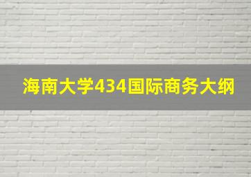 海南大学434国际商务大纲