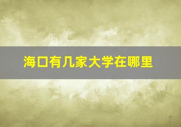 海口有几家大学在哪里