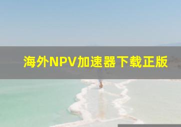 海外NPV加速器下载正版