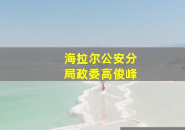 海拉尔公安分局政委高俊峰