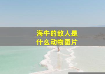 海牛的敌人是什么动物图片