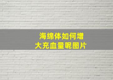 海绵体如何增大充血量呢图片