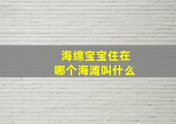 海绵宝宝住在哪个海滩叫什么