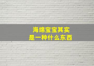 海绵宝宝其实是一种什么东西