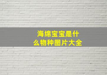 海绵宝宝是什么物种图片大全