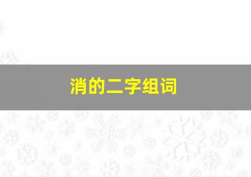 消的二字组词