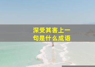 深受其害上一句是什么成语