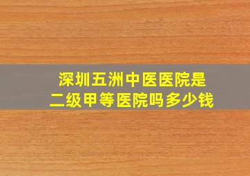 深圳五洲中医医院是二级甲等医院吗多少钱