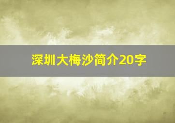 深圳大梅沙简介20字