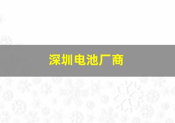 深圳电池厂商